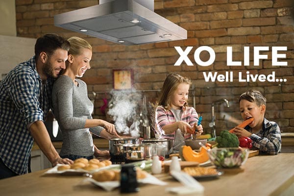 XO 24 Wall Mount Chimney Style Range Hood XOB24S