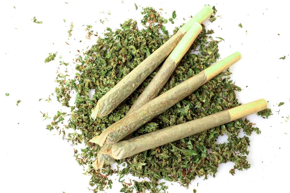 A new medical user shows off their collection of shake and prerolls, while wondering how to keep weed fresh the best way.